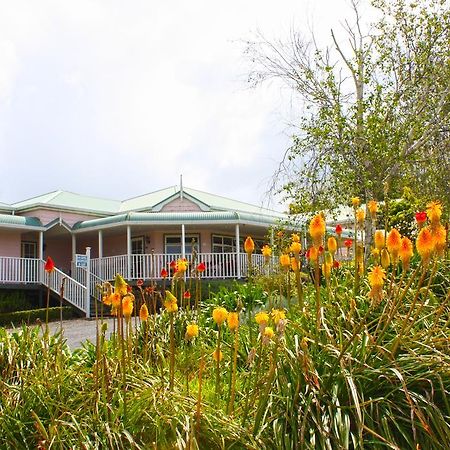Matakohe House Bed and Breakfast Εξωτερικό φωτογραφία